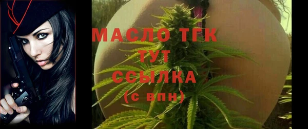 дмт Абаза