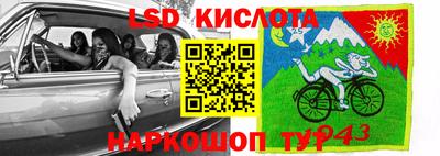 ALPHA PVP Кандалакша