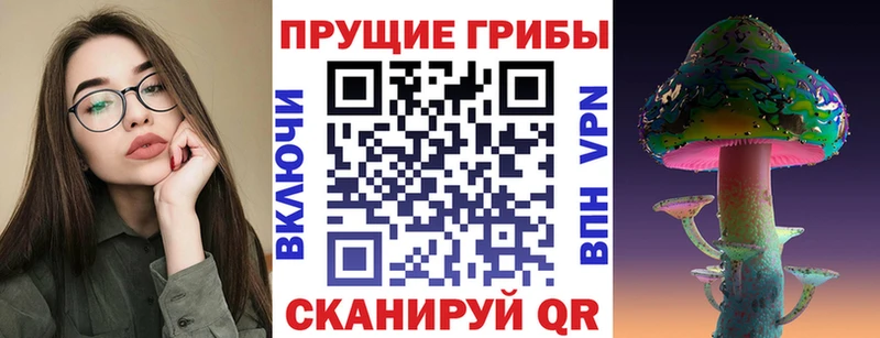 Псилоцибиновые грибы MAGIC MUSHROOMS  Нальчик 