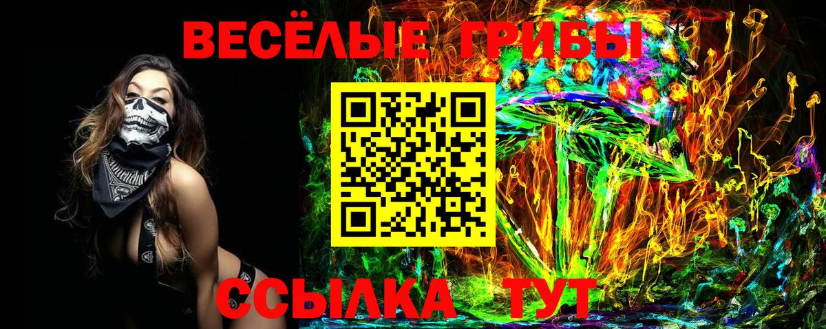 Нальчик  Псилоцибиновые грибы GOLDEN TEACHER  как найти   Галлюциногенные грибы прущие грибы  Вход с VPN 